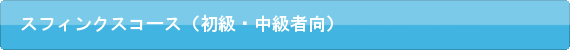button_sufinkusu