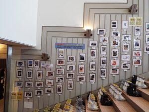 dscf3699