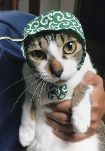nosemotoharu03
