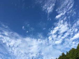 img_4884