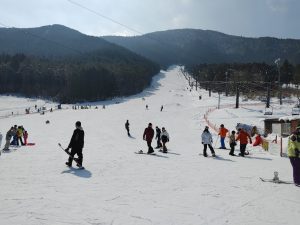 img00100